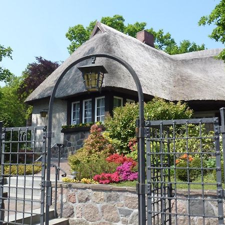 Landhaus Wilkens บาเบอ ภายนอก รูปภาพ